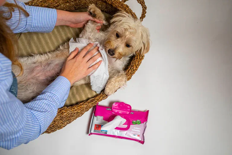 Sinapps Portfolio Inodorina